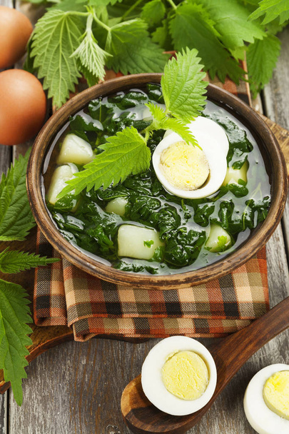 Soup of nettles  - Photo, Image