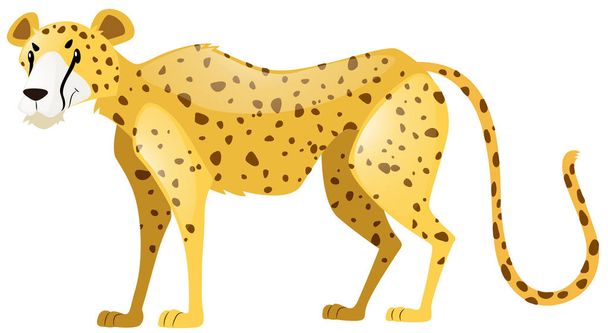 Cheetah Free Stock Vectors