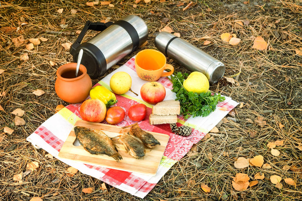Kawa i żywności na piknik w lesie - Zdjęcie, obraz