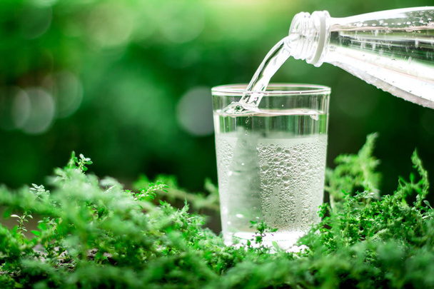 kieliszek chłodnym świeżej wody na naturalne tło zielony - Zdjęcie, obraz