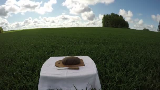 ein Laib Brot im Weizenfeld, Zeitraffer 4k - Filmmaterial, Video