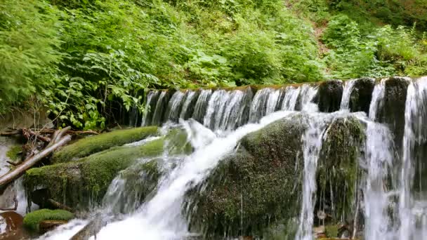   夏の日にコケの石に小さな滝をクローズ アップ。4 k 3840 x 2160.  - 映像、動画