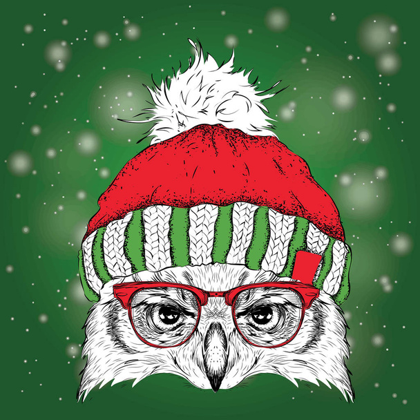 Boże Narodzenie plakat z obrazu portret sowy w Czapka zimowa. Ilustracja wektorowa. - Wektor, obraz