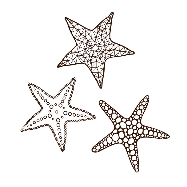 Starfish set 2 - Vector, Image