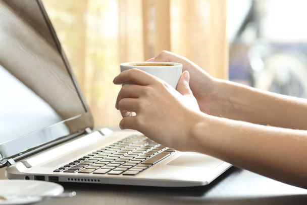 Girl hands with coffee watching laptop - Foto, imagen