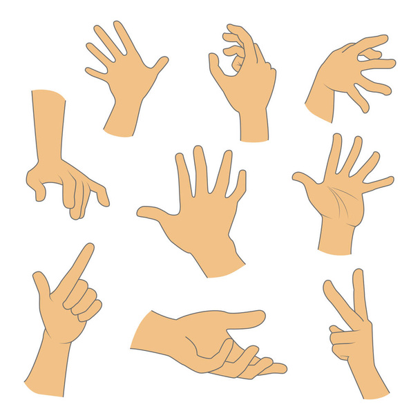 Hands gestures realistic set on a white background - Vector, Image
