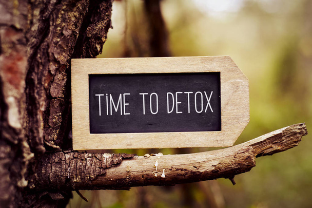 chalkboard with the text time to detox - Foto, afbeelding