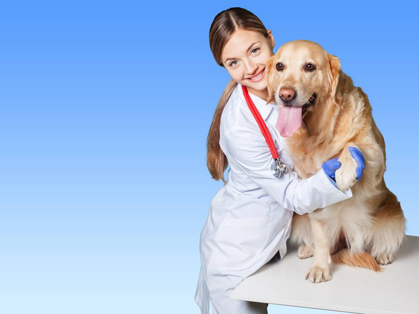  női orvos-beteg kutya - Fotó, kép