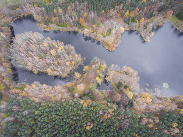 Aerial view of the forrest with different color trees. Taken dur - Photo, Image