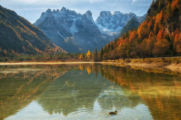 Autumn scenery of Lake Landro in Dolomite Alps, Italy - Photo, Image