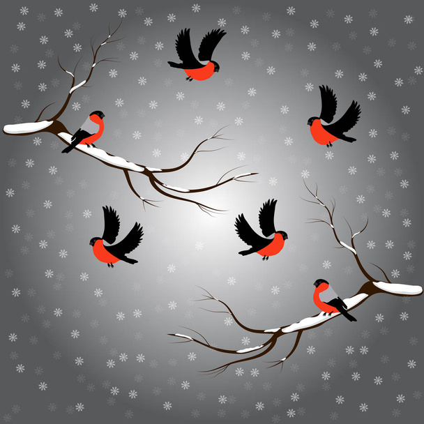Bullfinch on branch, snow, merry christmas, gray background. Winter vector illustration. - Vector, Image