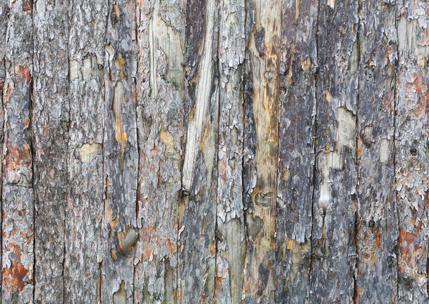 Fondo de textura de tablón de corteza de árbol natural
 - Foto, imagen