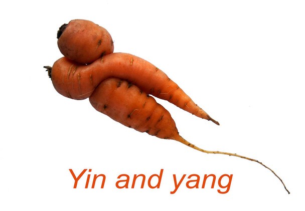 Yin und Yang Karotten  - Foto, Bild