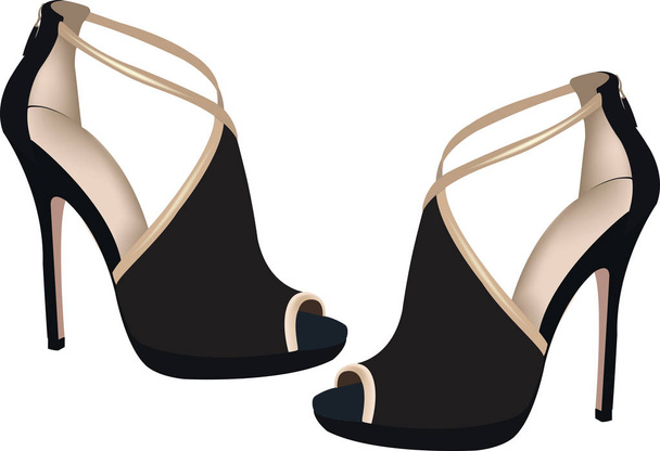 Musta naisten kengät
 - Vektori, kuva