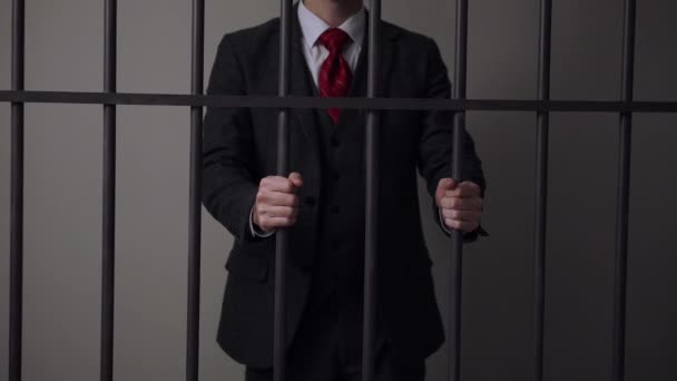 刑務所でホワイト カラーの男性刑事 - 映像、動画