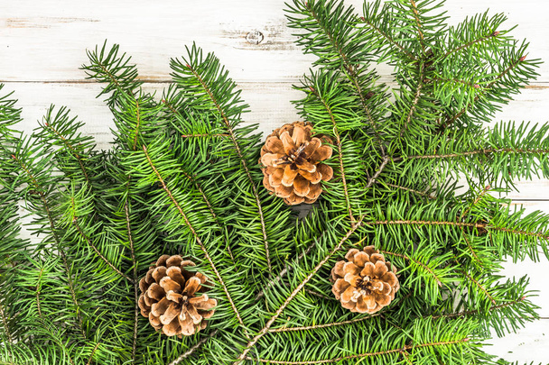 Christmas decoration. Green fir tree on white wooden background. - Valokuva, kuva