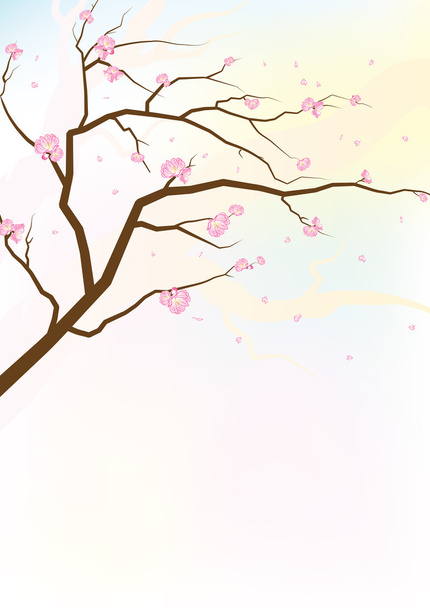 Sakura - Vetor, Imagem