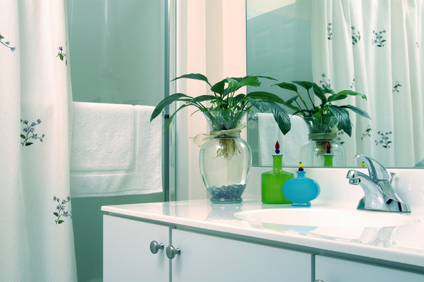 bathroom with plant - Photo, Image