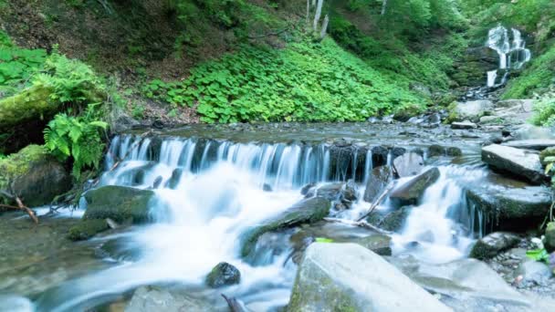  Красивий гірський малий водоспад iIn wood. Ландшафт у 4K 3840x2160
.  - Кадри, відео