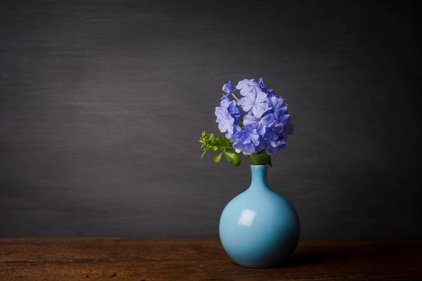 Blue plumbago flowers in vase  - Valokuva, kuva