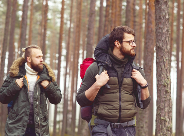 Young men hiking in forest  - Φωτογραφία, εικόνα