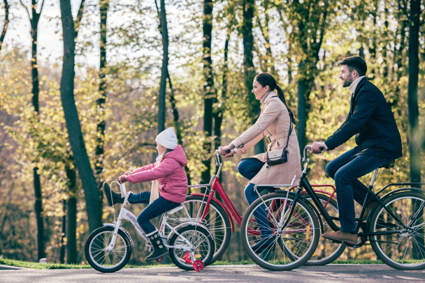 Bicicletas familiares felices en el parque
 - Foto, Imagen