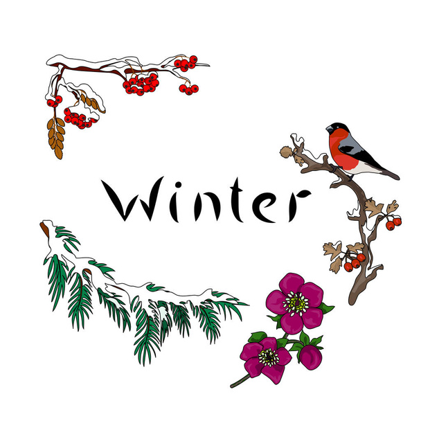Winterkarte mit Gimpel - Foto, Bild
