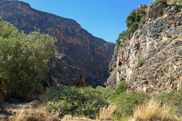 Pervolakion gorge, Kréta, Görögország - Fotó, kép