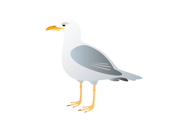 Чайка на белом фоне
 - Вектор,изображение