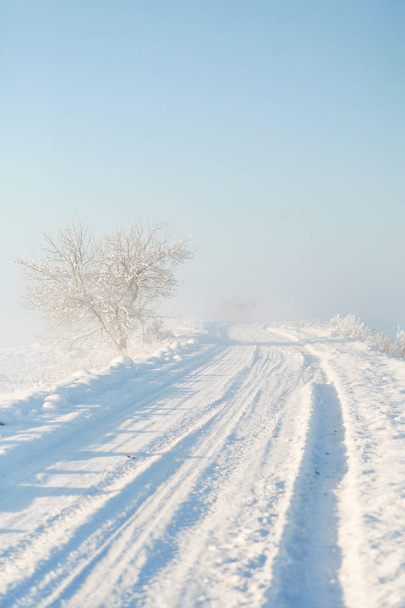 Nevoso vuoto palato strada di campagna su una nebbiosa mattina d'inverno all'alba
 - Foto, immagini