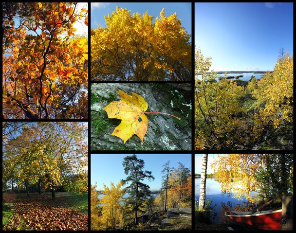 herfst foto collage - Foto, afbeelding