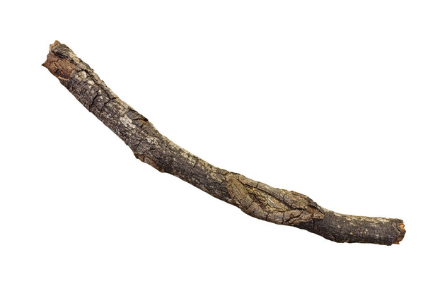 Dried branch background - Photo, Image