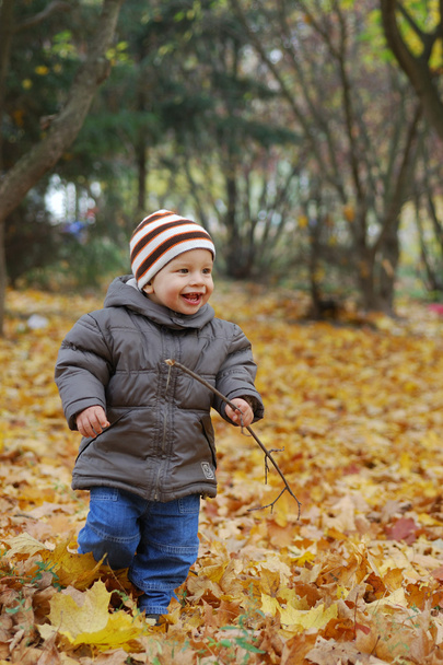Bonheur enfant jouant dans la forêt
 - Photo, image