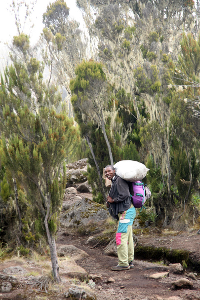 Mt Kilimanjaro, Tanzania, Africa - Foto, Bild