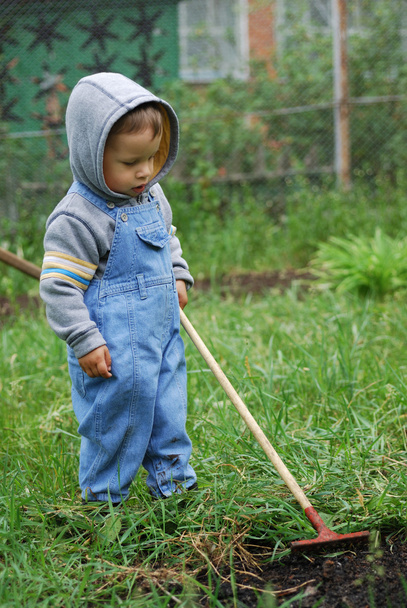 Niño pequeño con rastrillo
 - Foto, imagen