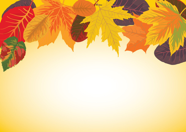 Autumn background - ベクター画像