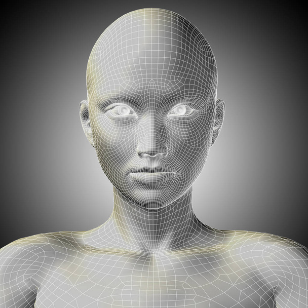 cabeza femenina humana
  - Foto, Imagen