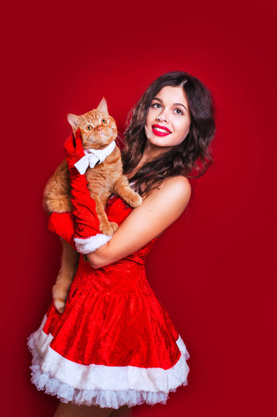 Portrait of beautiful sexy girl wearing santa claus clothes with red british cat - Фото, изображение
