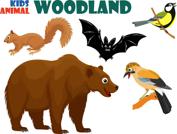 vector set of cute woodland kids animals - Vector, Image