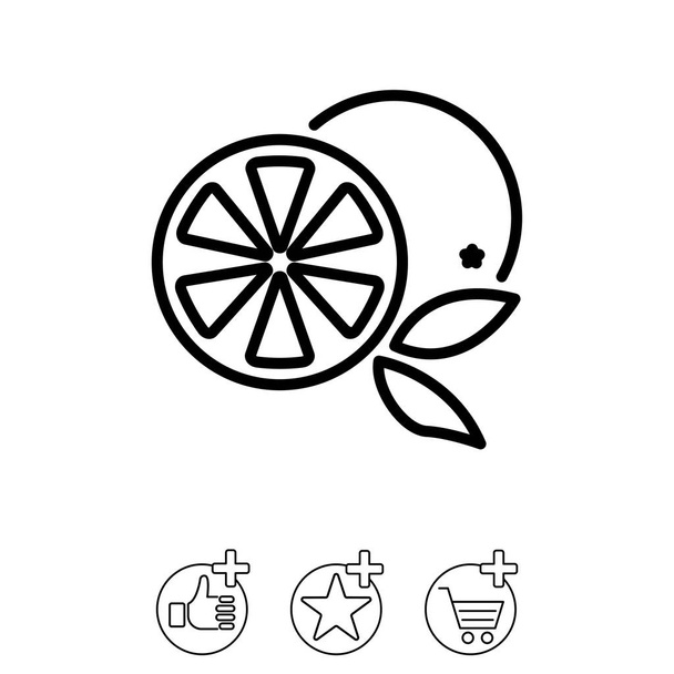 line icon of oranges - Vector, Image