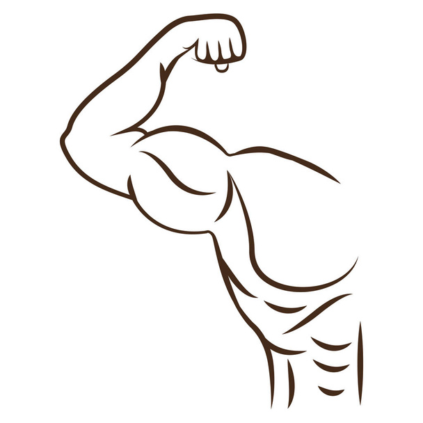 Conception de muscle de bodybuilding
 - Vecteur, image