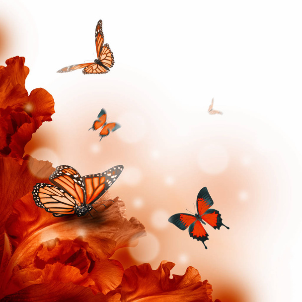 Удивительная цветочная сказка бабочки
 - Фото, изображение
