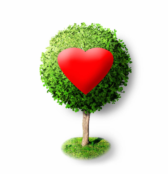 Red heart on green tree - Фото, изображение