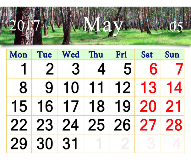 календарь на май 2017 года с весенней рощей
 - Фото, изображение