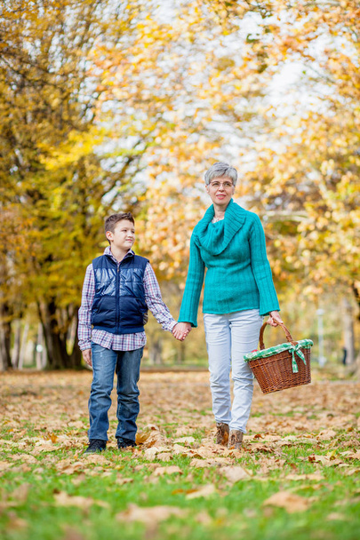 Grandmother and grandson walk through the park  - Foto, immagini