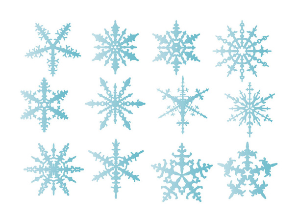  snowflakes  isolated on backround - Vector, Image