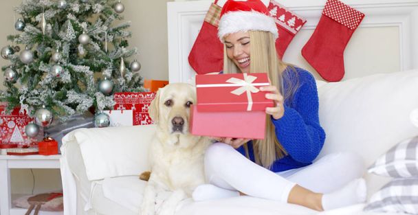 Kaunis seksikäs tyttö istuu joulun aikaan sohvalla
 - Valokuva, kuva