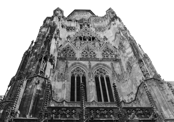 Katedrála ve Vídni - Fotografie, Obrázek