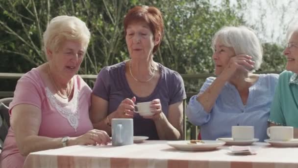  amis aînés bavarder avec des tasses de thé
 - Séquence, vidéo
