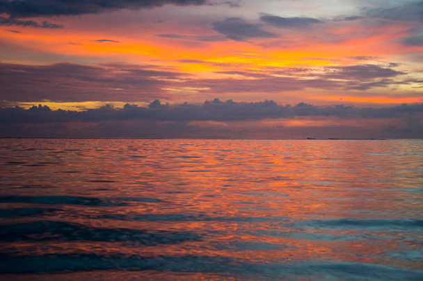 захід сонця на повітряній гілці
 - Фото, зображення